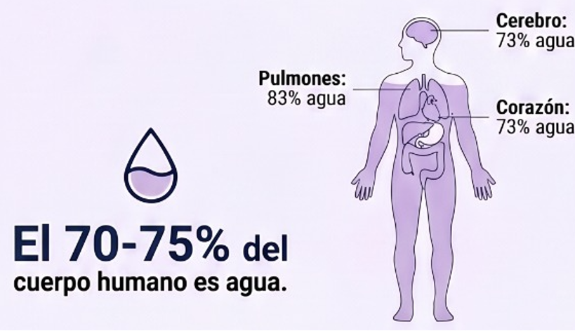 Enagic K8 — La Ciencia del Agua Ionizada