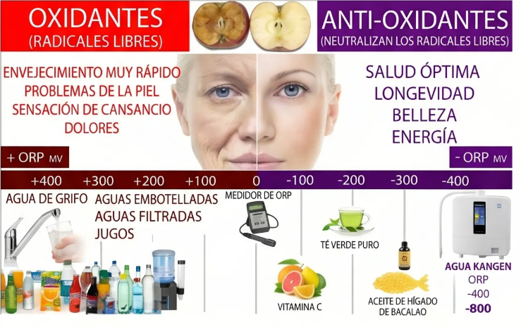 Enagic K8 — La Ciencia del Agua Ionizada